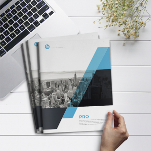 骑马订画册(数码)